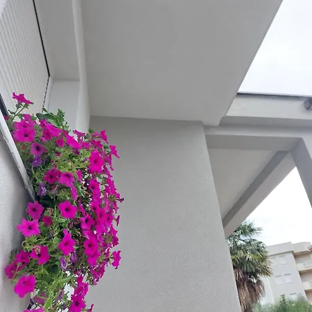 Gostinjska kuća Dzeba *